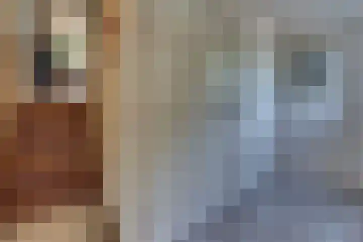 Rietgorsmeen 78 Harderwijk thumbnail 7
