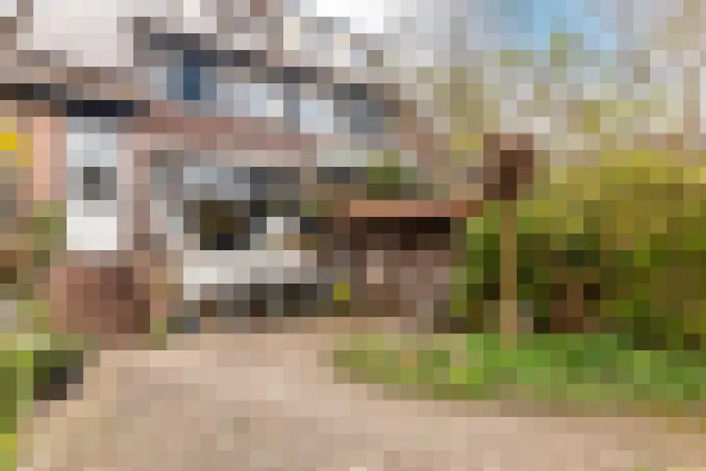 Rietgorsmeen 82 Harderwijk thumbnail 41