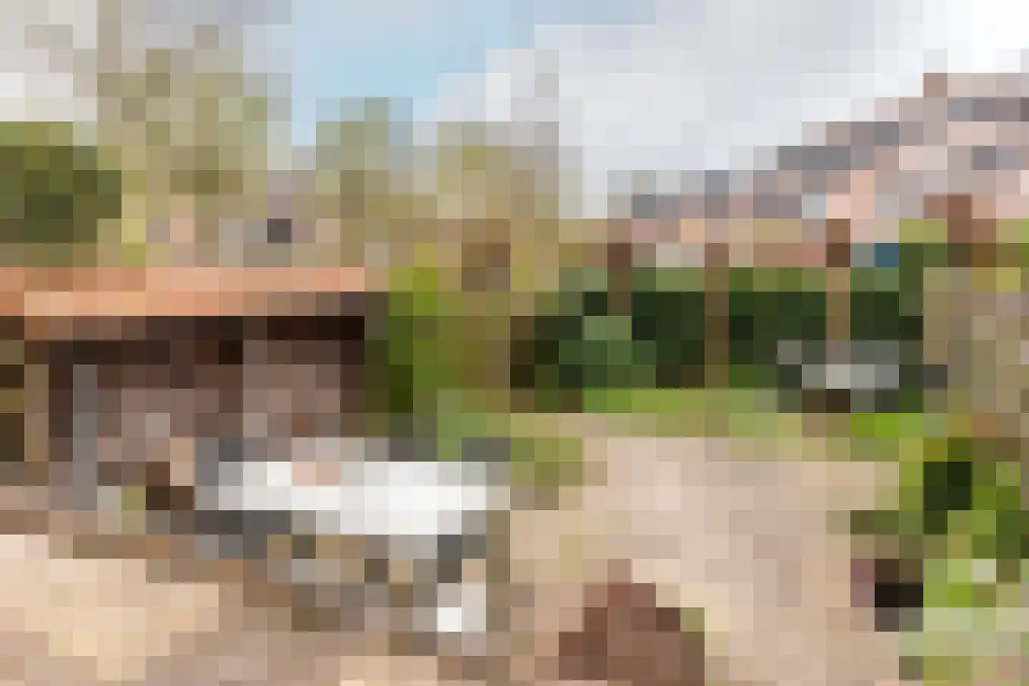 Rietgorsmeen 82 Harderwijk thumbnail 42