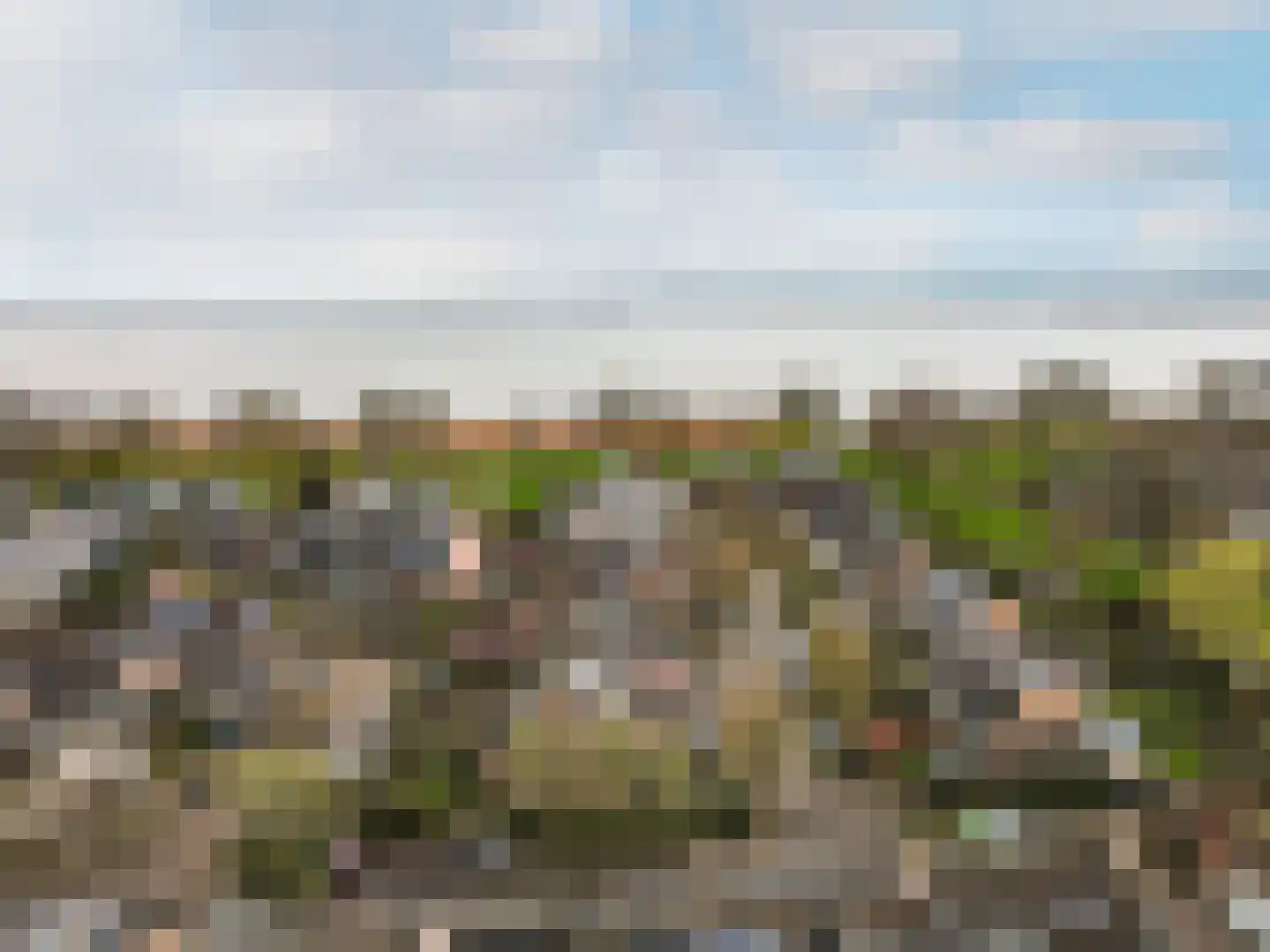 Rietgorsmeen 82 Harderwijk thumbnail 52