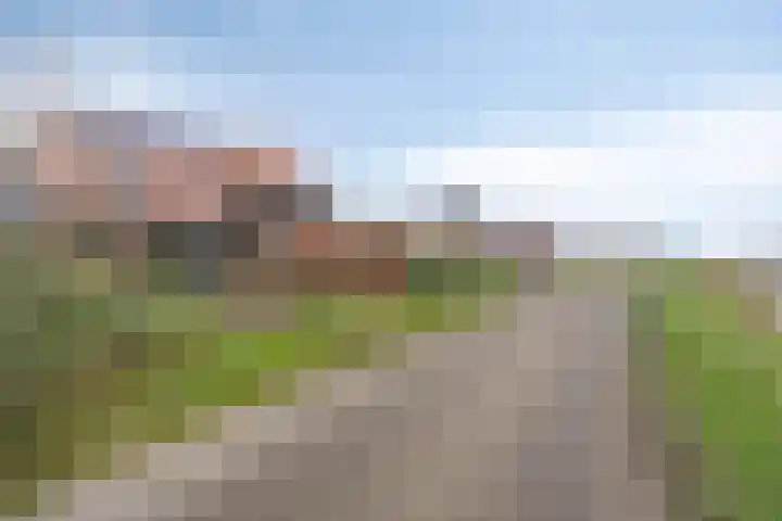 Rietgorspad 20 Watergang thumbnail 16