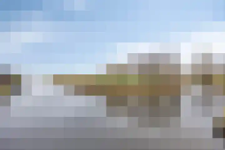 Rietgorspad 20 Watergang thumbnail 45