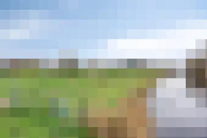 Rietgorspad 20 Watergang thumbnail 46