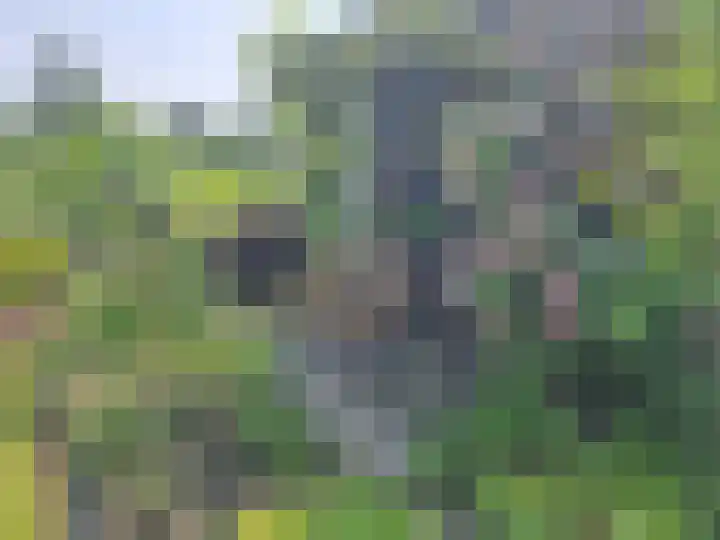 Rietgorspad 20 Watergang thumbnail 49