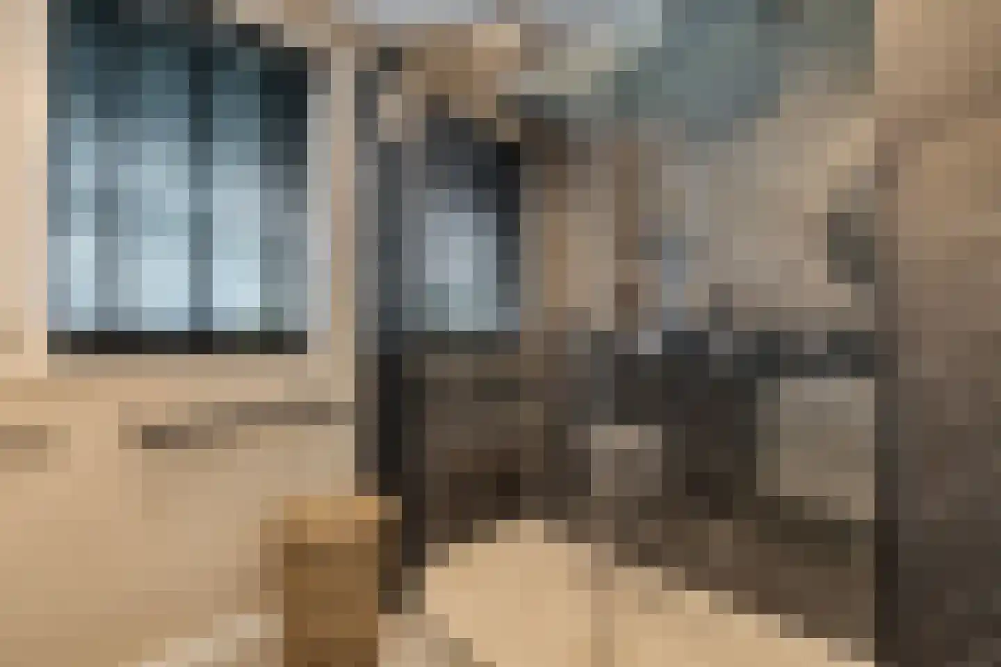 Rietgraaf 23 B Oosterhout thumbnail 27
