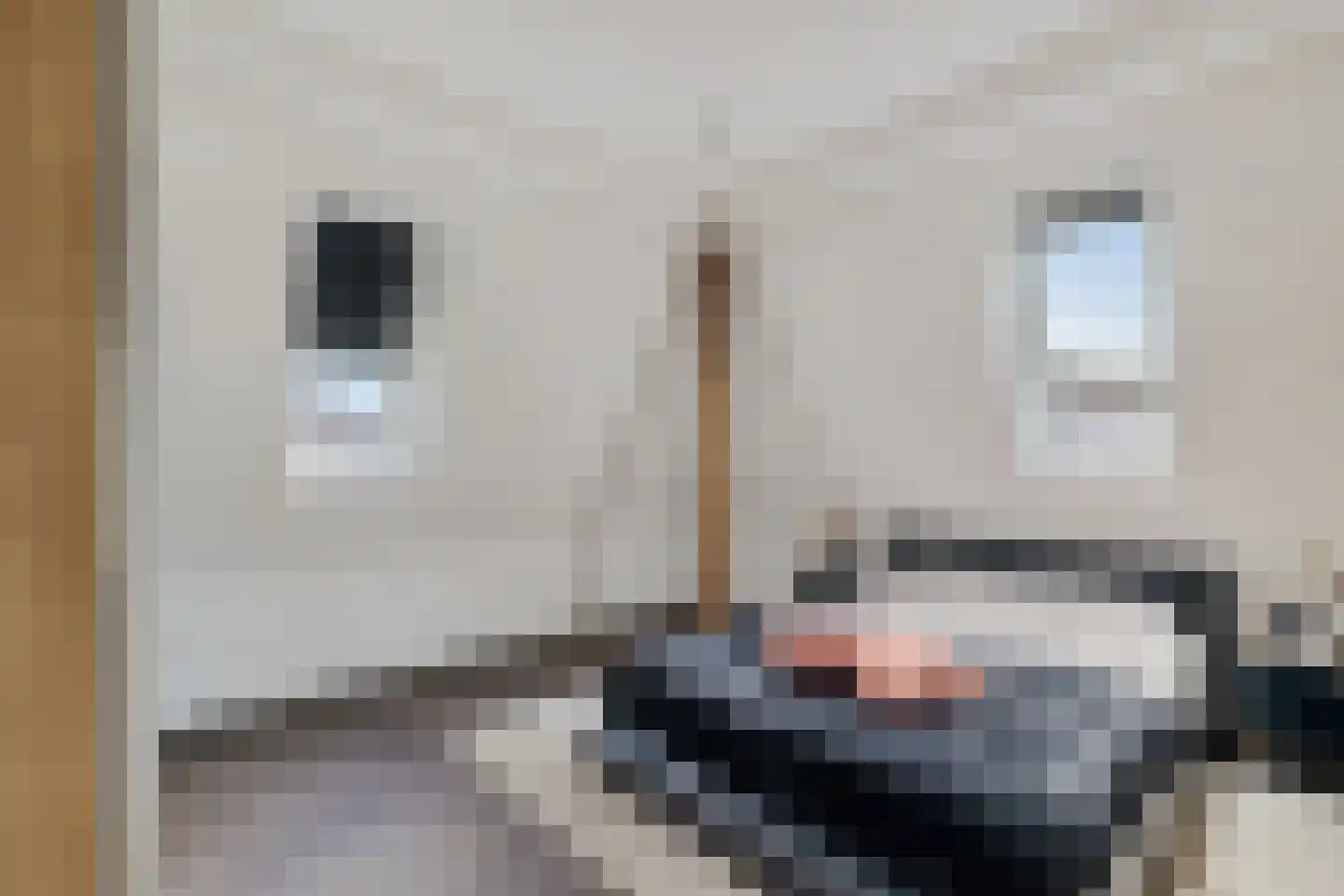 Rietgraaf 23 B Oosterhout thumbnail 32