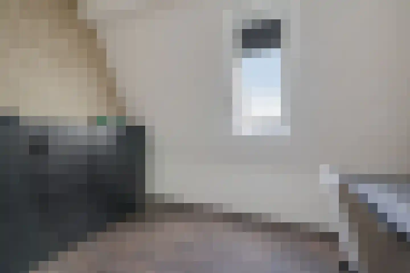 Rietgraaf 23 B Oosterhout thumbnail 35