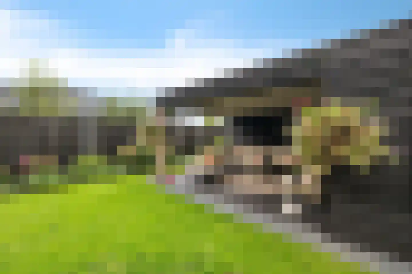 Rietgraaf 23 B Oosterhout thumbnail 37