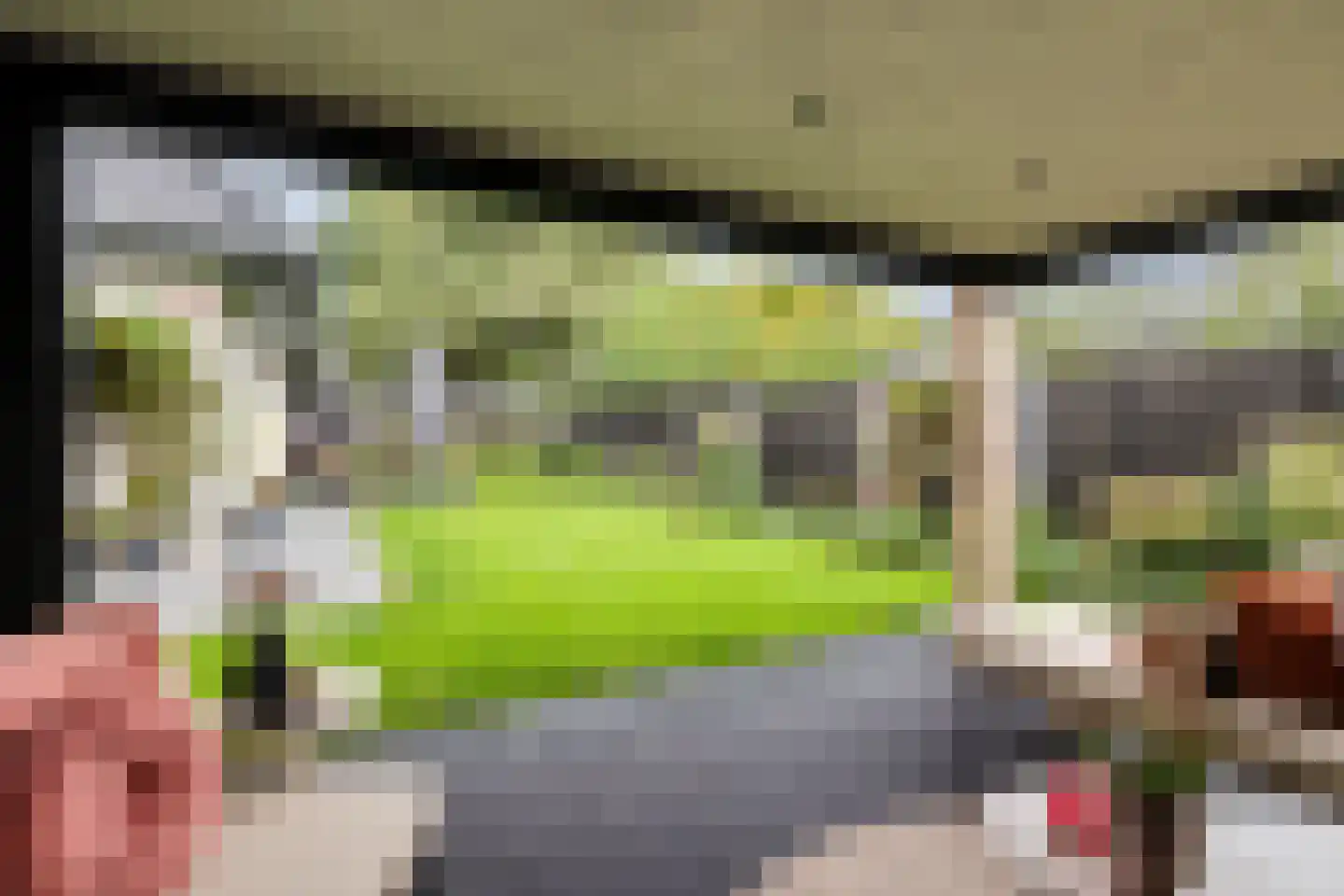 Rietgraaf 23 B Oosterhout thumbnail 39