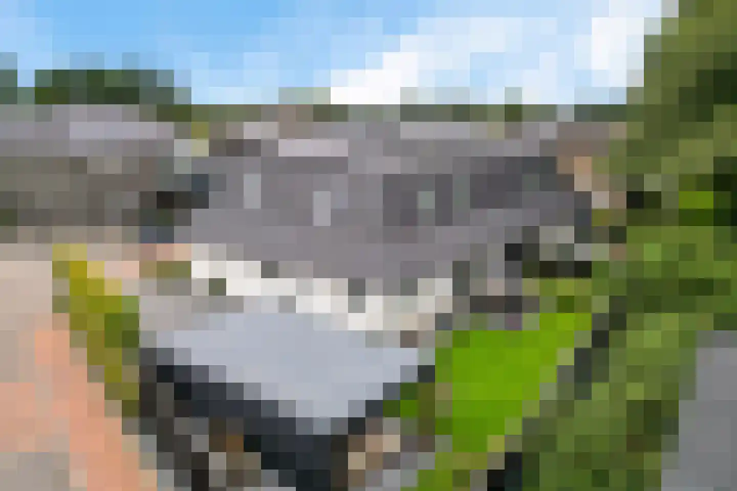 Rietgraaf 23 B Oosterhout thumbnail 44