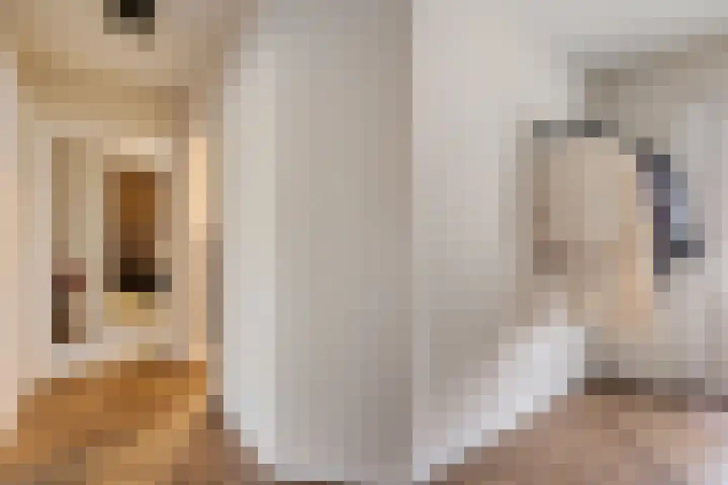 Rietgraaf 23 B Oosterhout thumbnail 8
