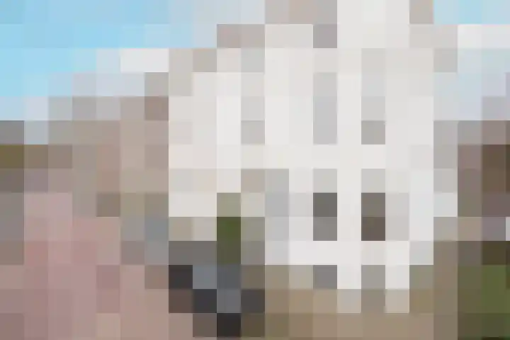 Rietgrachtstraat 31 Arnhem thumbnail 50