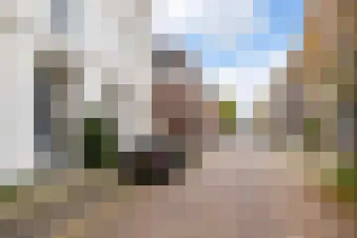 Rietgrachtstraat 35 Arnhem thumbnail 36