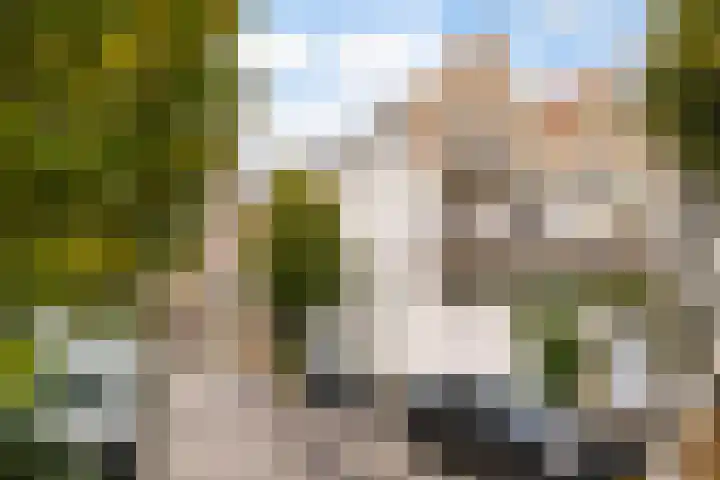 Rietgrachtstraat 35 Arnhem thumbnail 37