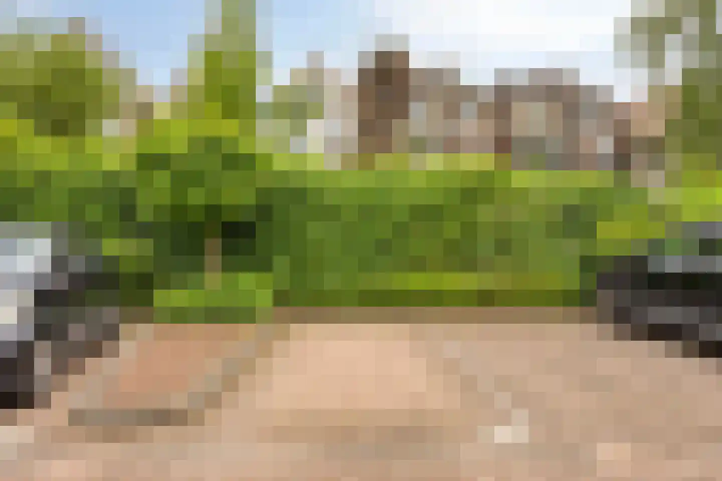 Rietgrachtstraat 41 19 Arnhem thumbnail 35