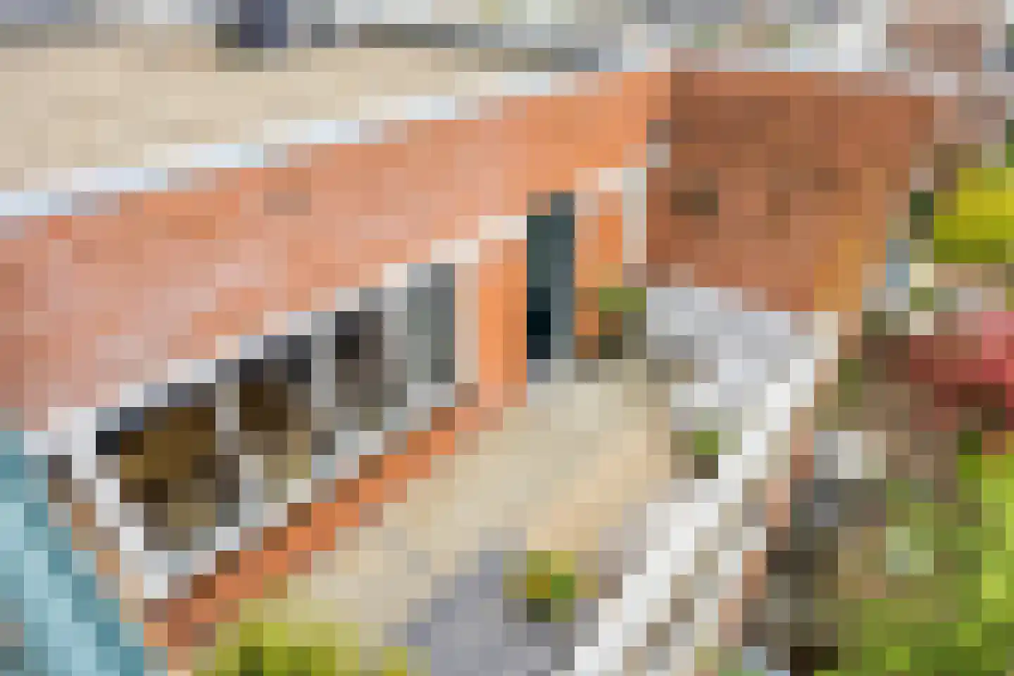 Rietgrachtstraat 41 19 Arnhem thumbnail 4