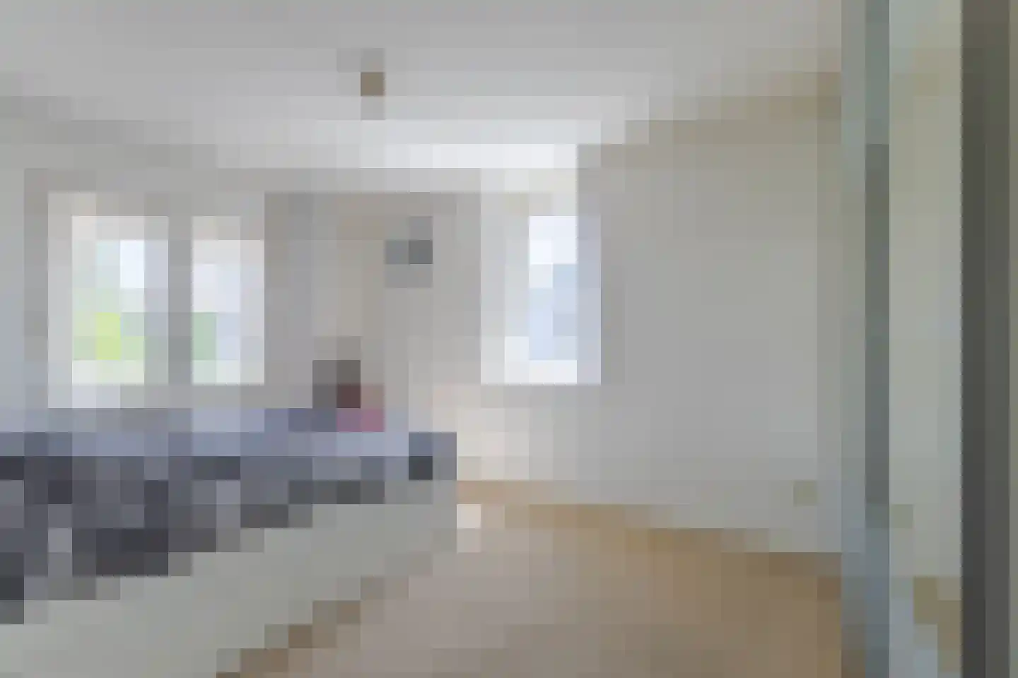 Rietgrachtstraat 41 27 Arnhem thumbnail 32