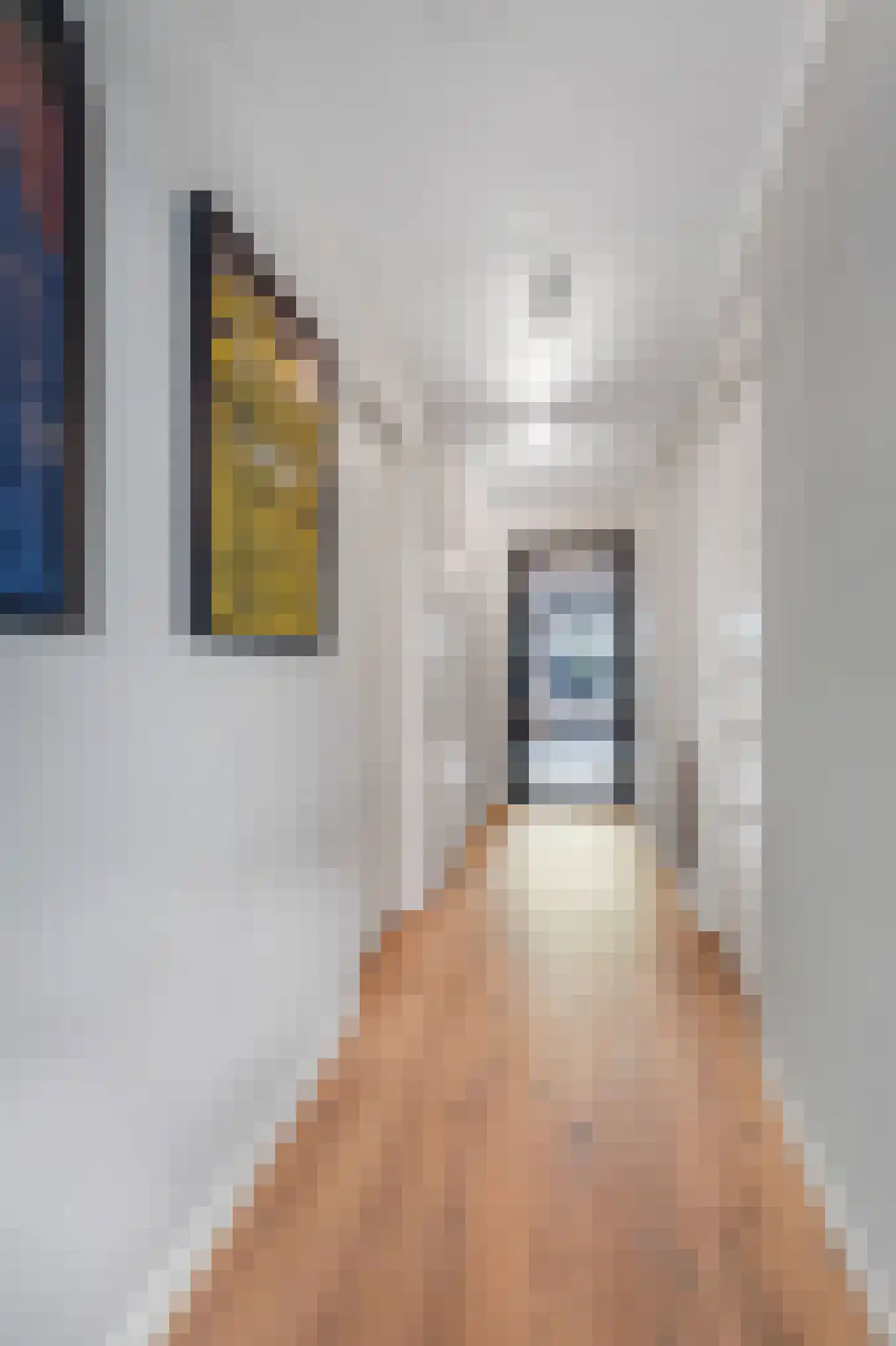 Rietgrachtstraat 43 Arnhem thumbnail 28