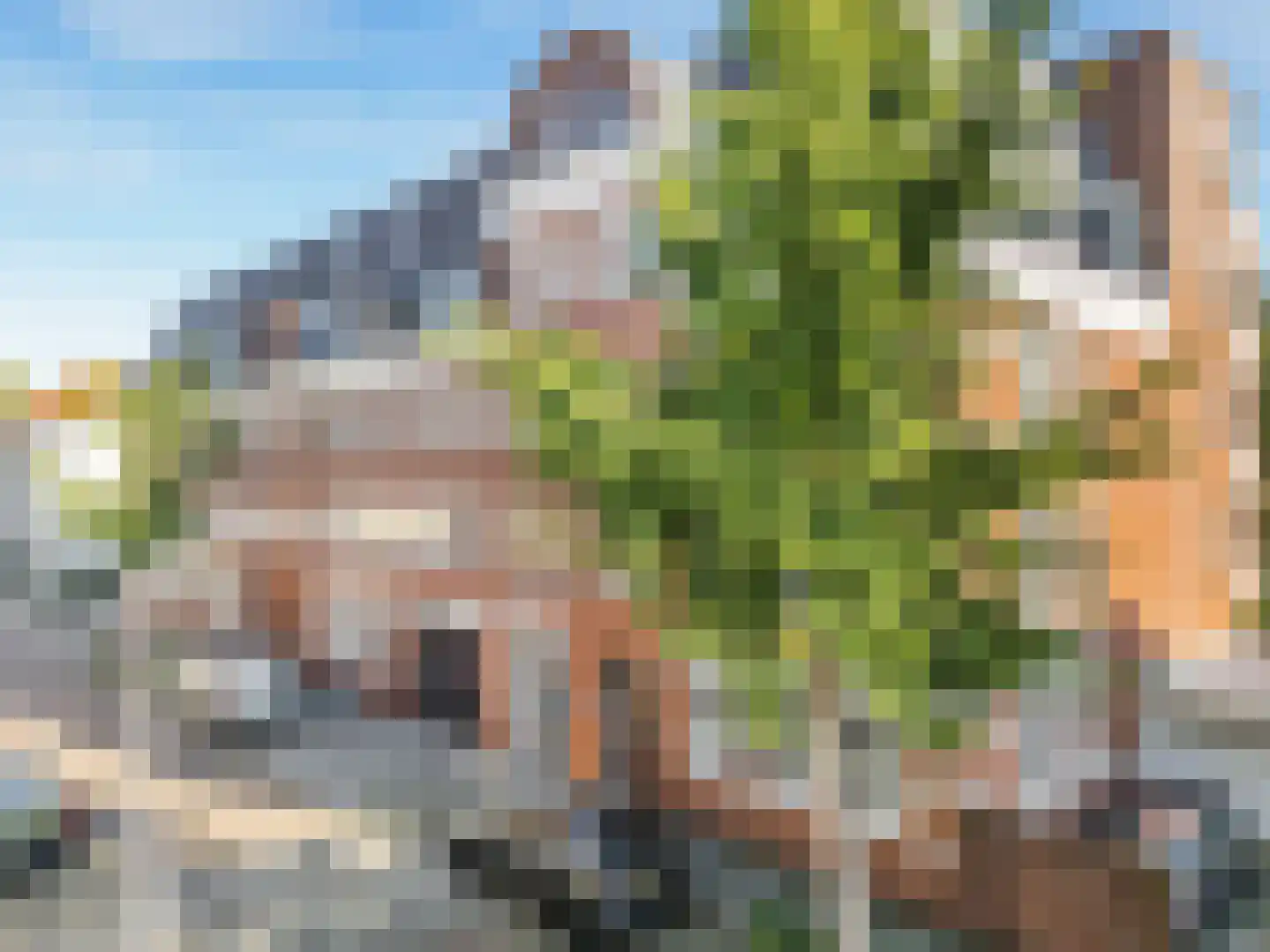 Rietgrachtstraat 43 Arnhem thumbnail 47