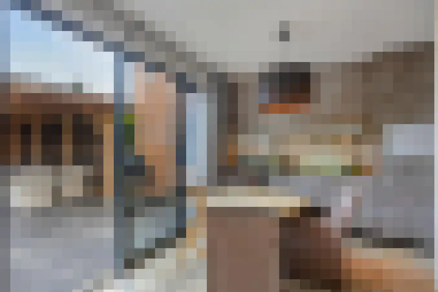 Rietgras 10 De Goorn thumbnail 12