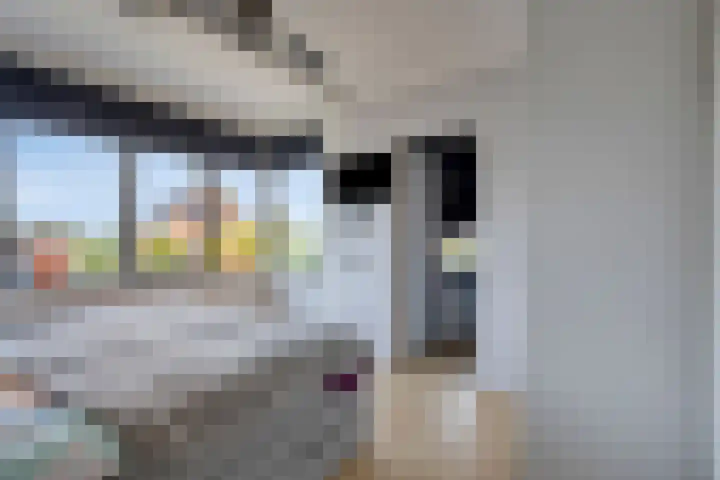 Rietgras 10 De Goorn thumbnail 16