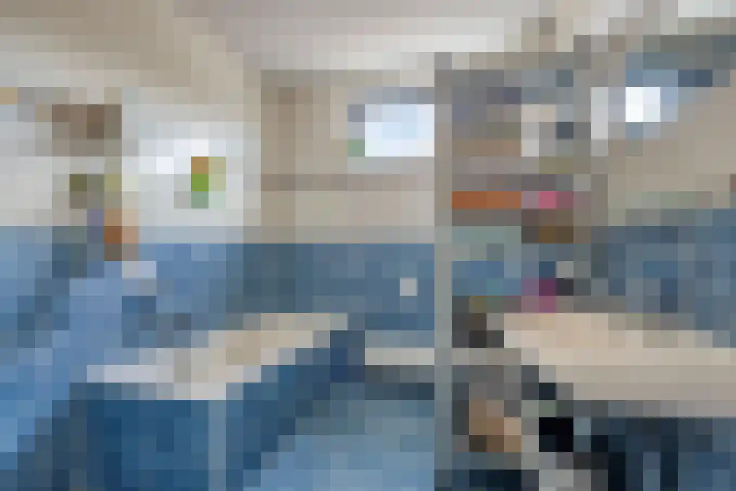 Rietgras 10 De Goorn thumbnail 22
