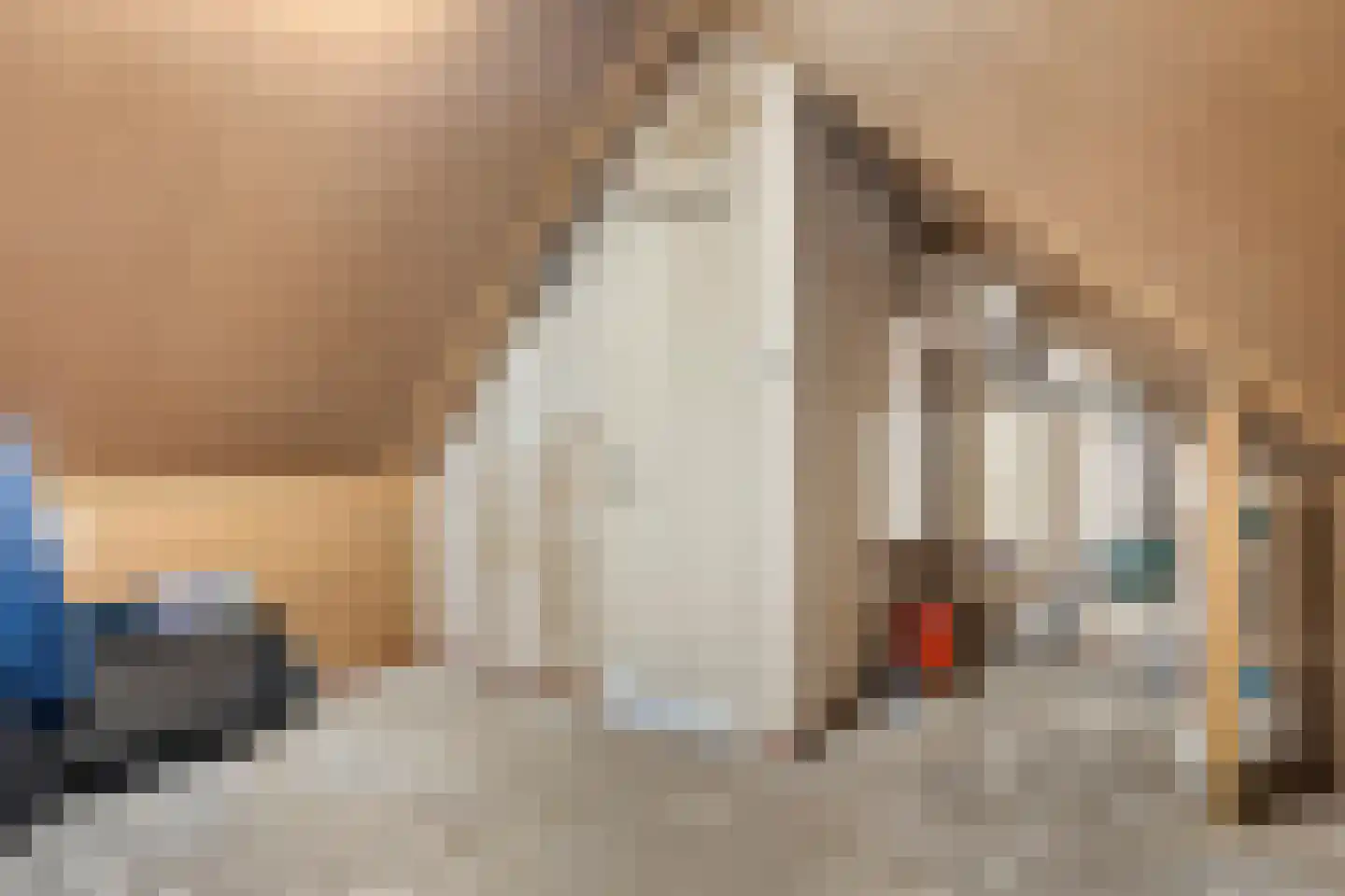 Rietgras 10 De Goorn thumbnail 24