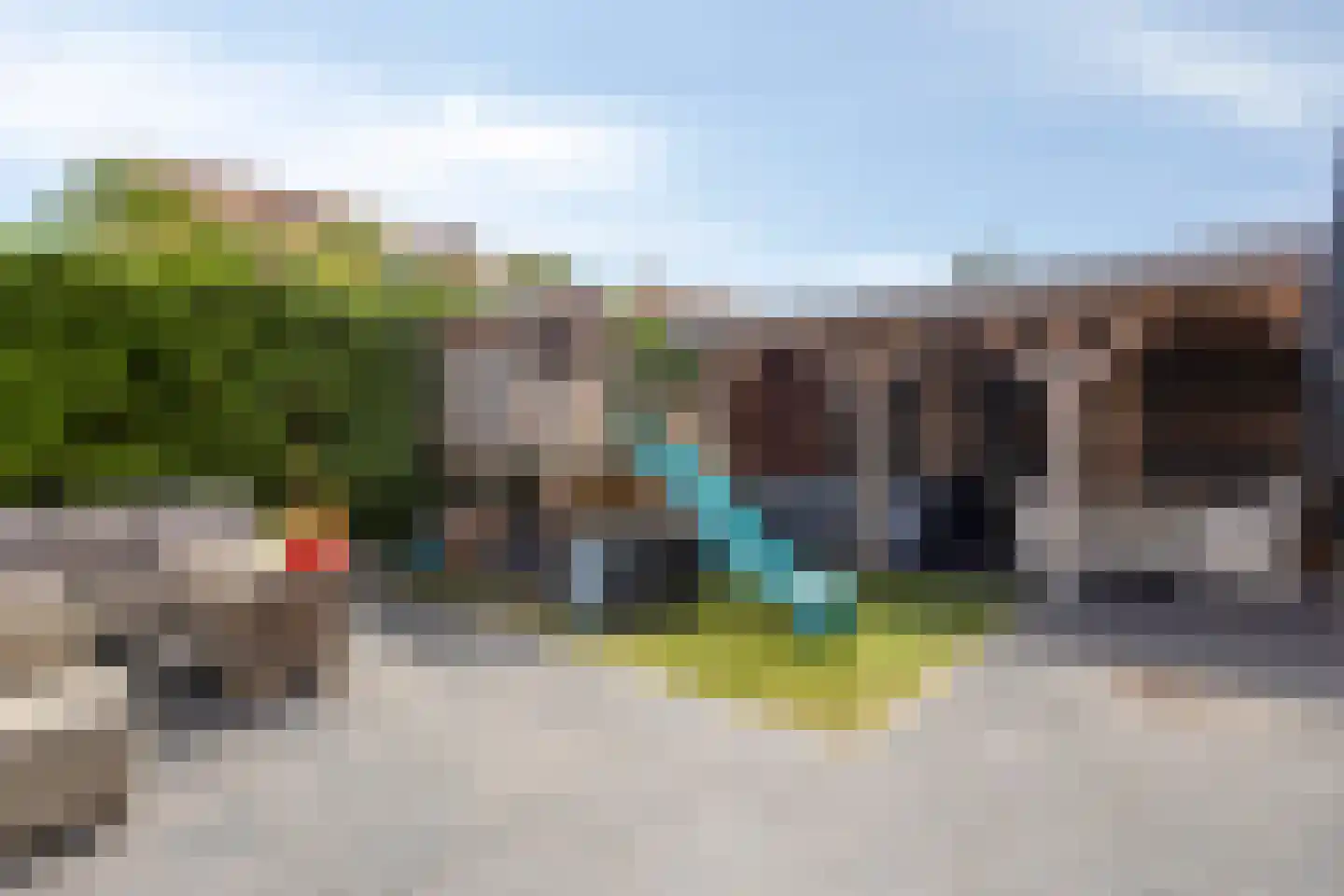 Rietgras 10 De Goorn thumbnail 26