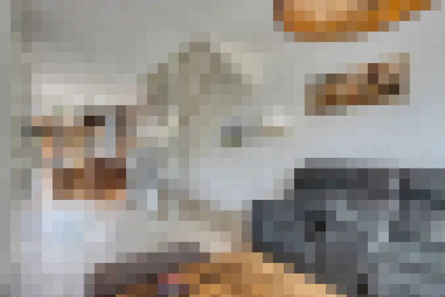 Rietgras 10 De Goorn thumbnail 5