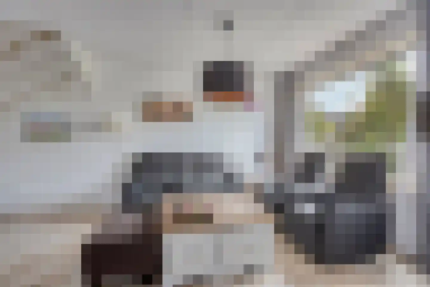 Rietgras 10 De Goorn thumbnail 8