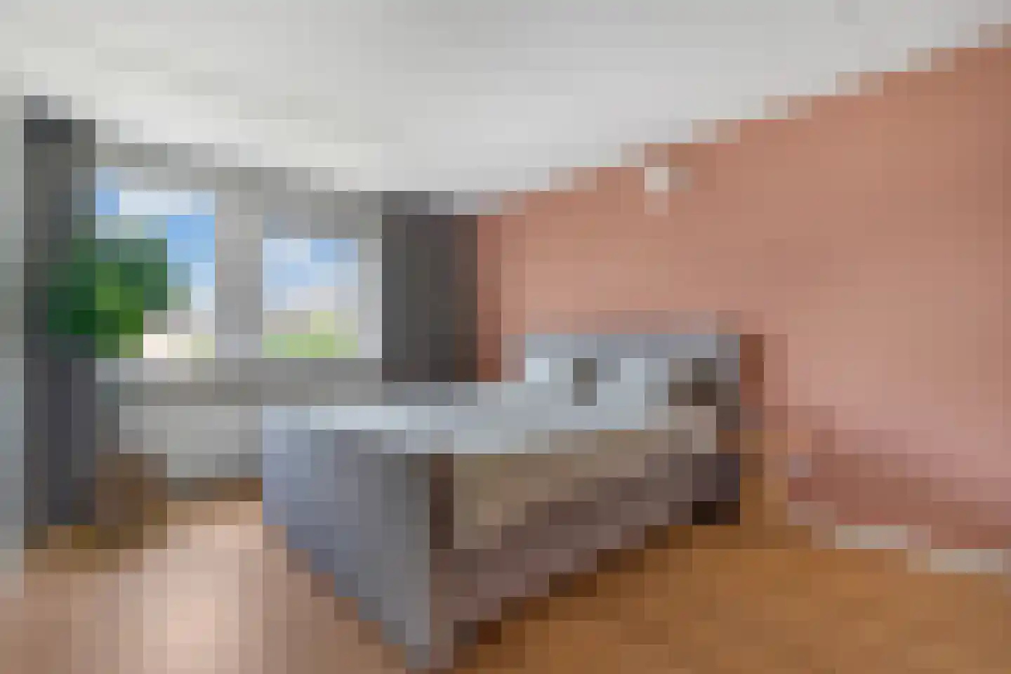 Rietgras 36 Zwolle thumbnail 15
