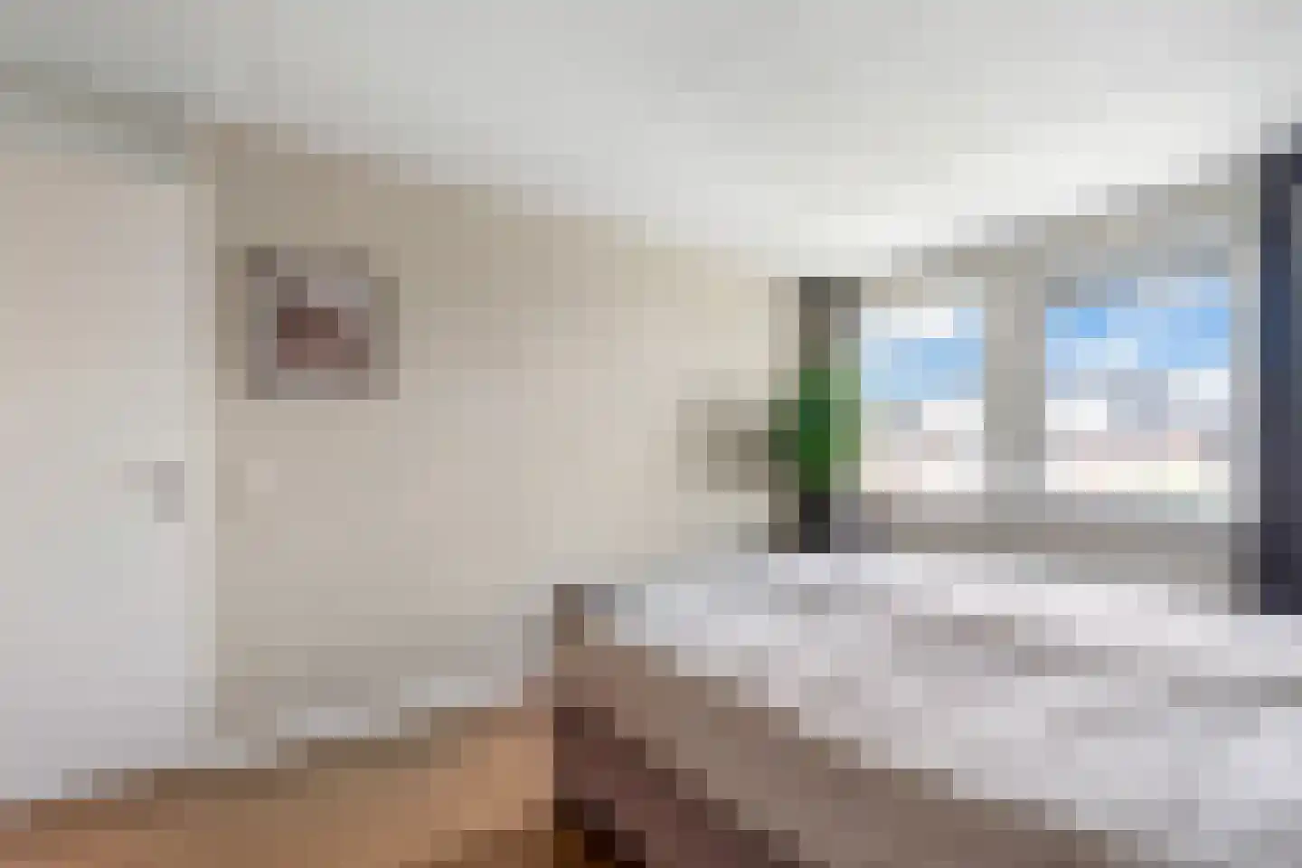 Rietgras 36 Zwolle thumbnail 16