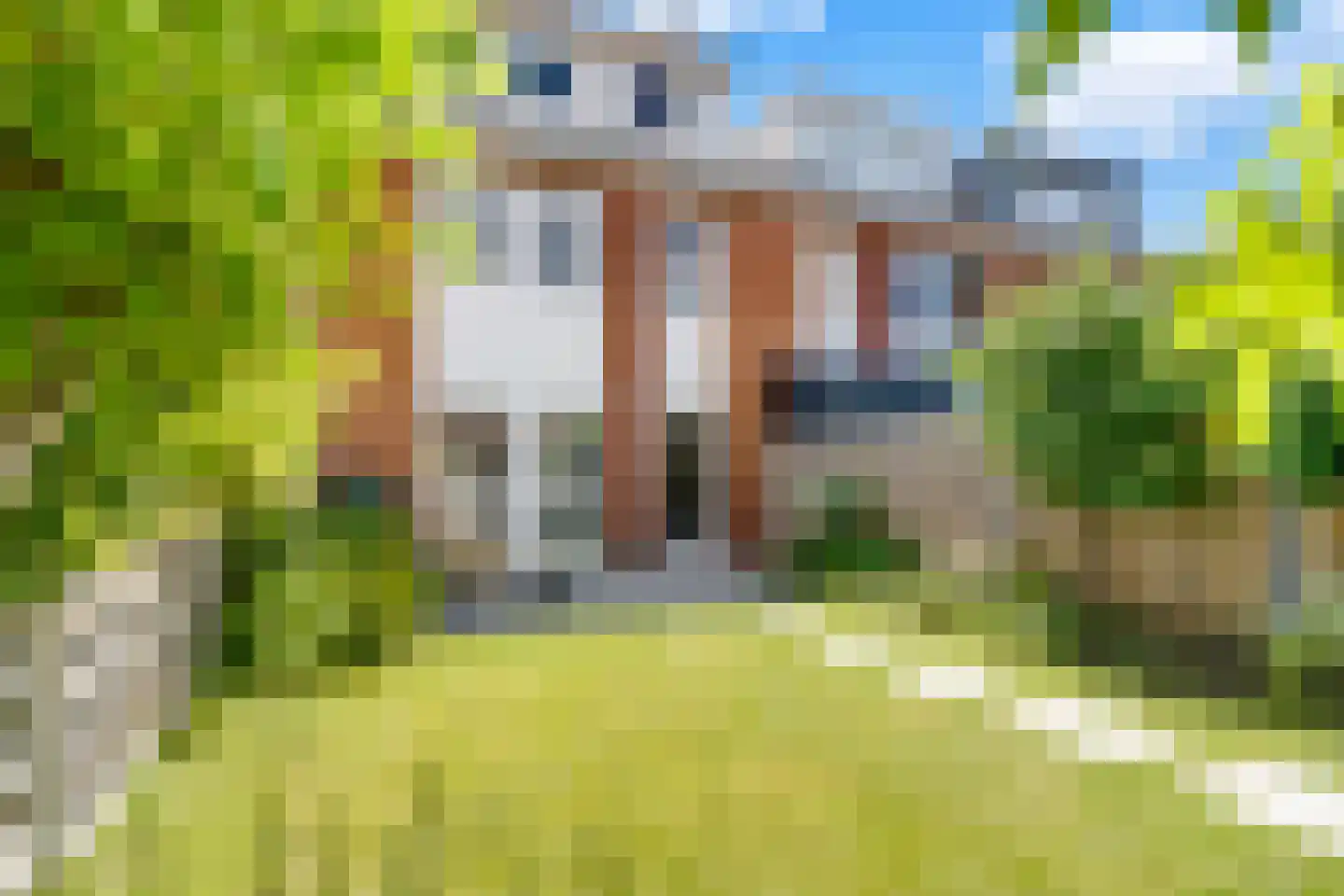 Rietgras 36 Zwolle thumbnail 29