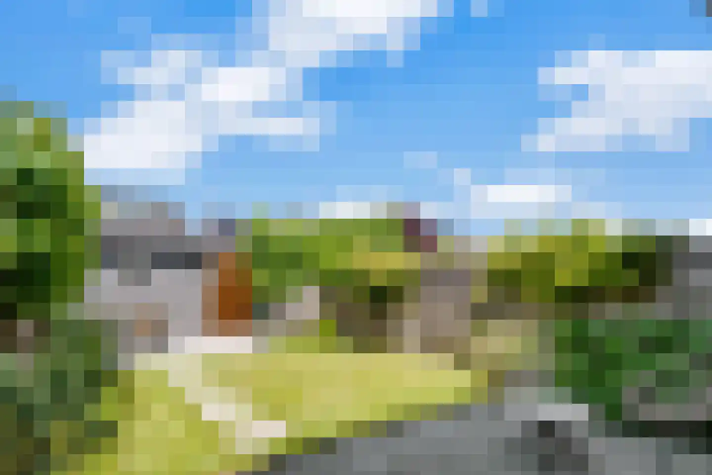 Rietgras 36 Zwolle thumbnail 30