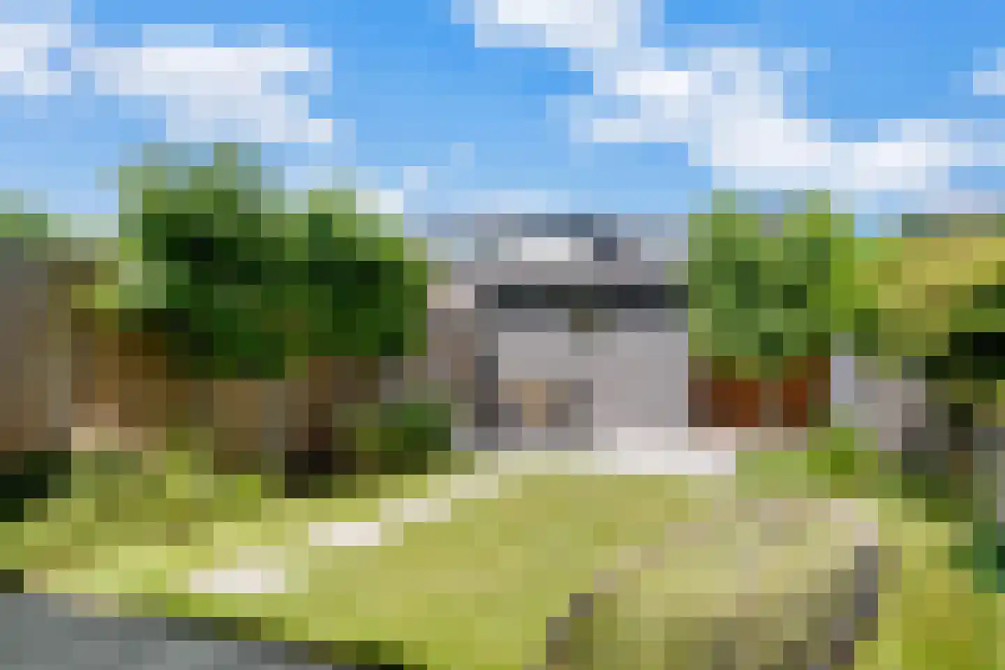 Rietgras 36 Zwolle thumbnail 31