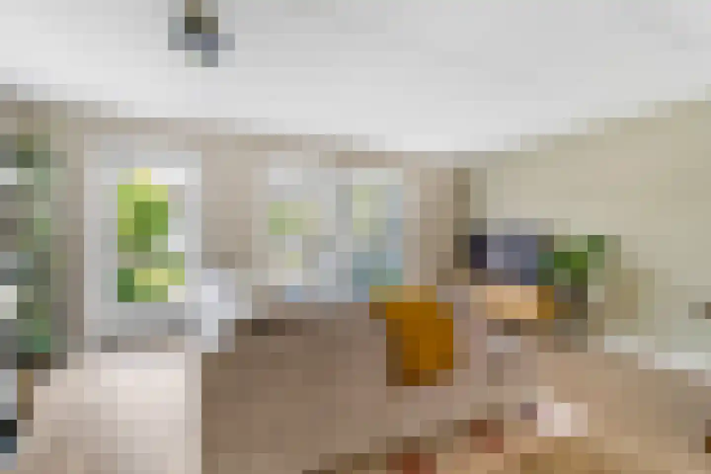 Rietgras 36 Zwolle thumbnail 4