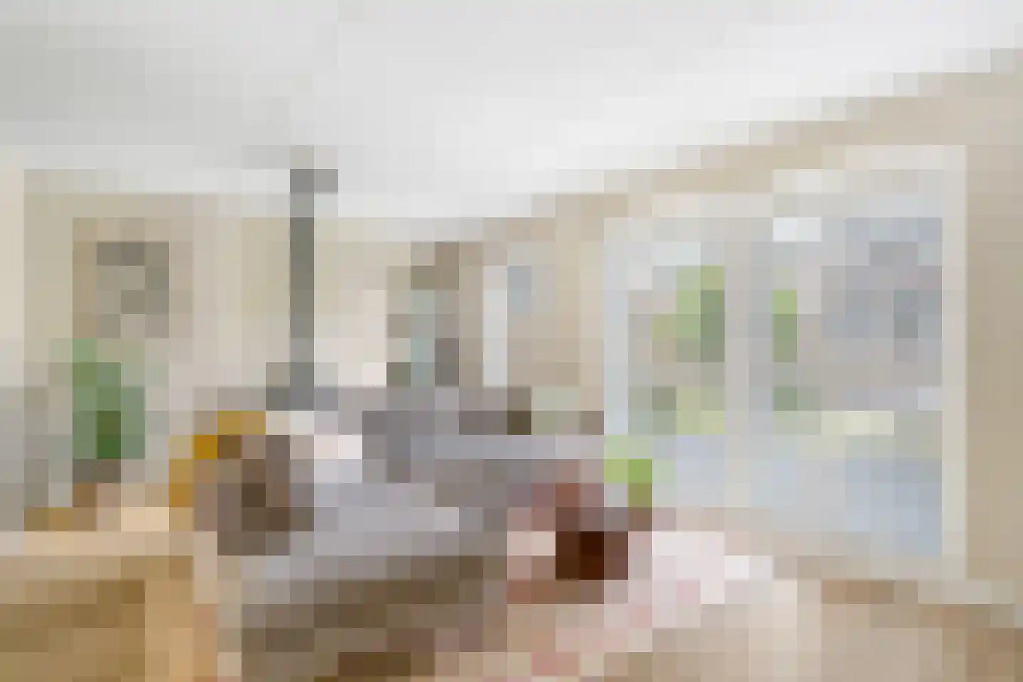 Rietgras 36 Zwolle thumbnail 6