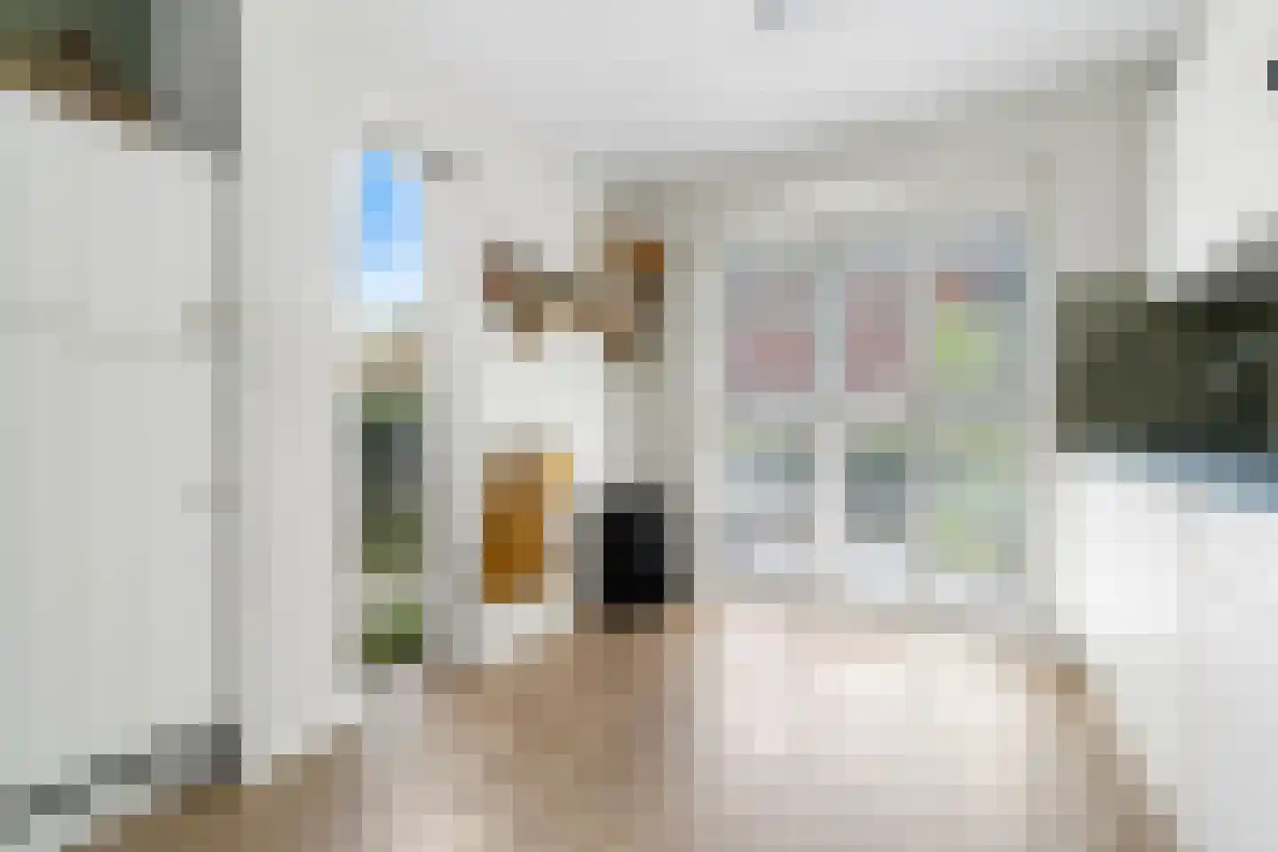 Rietgras 36 Zwolle thumbnail 8