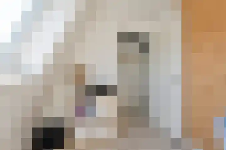 Rietgras 43 Zwolle thumbnail 26