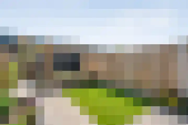 Rietgras 43 Zwolle thumbnail 31