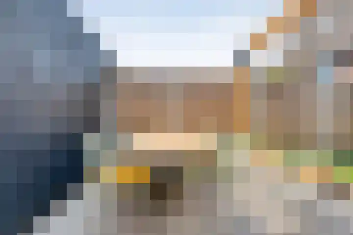 Rietgras 43 Zwolle thumbnail 32