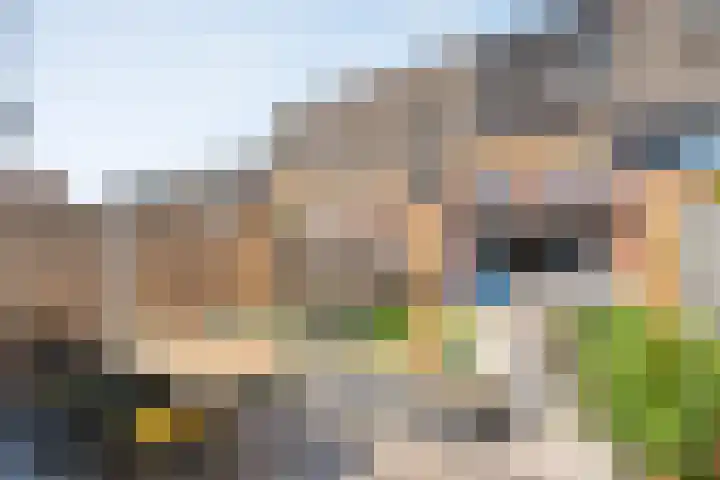 Rietgras 43 Zwolle thumbnail 33