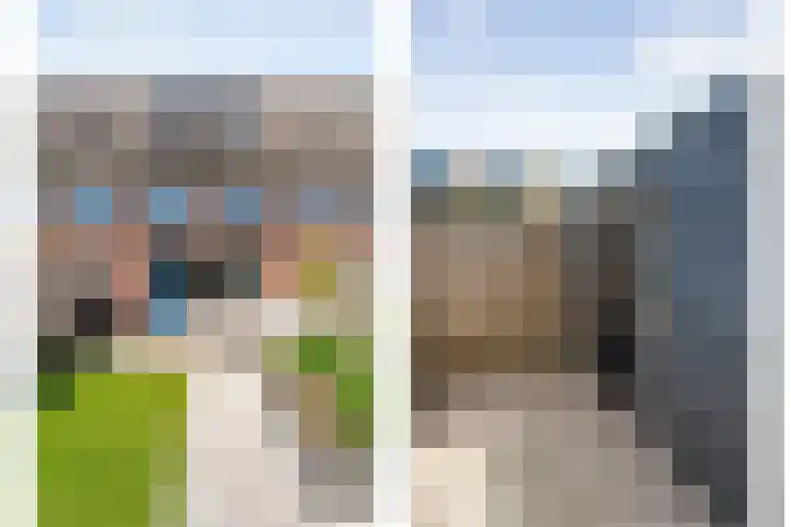 Rietgras 43 Zwolle thumbnail 34