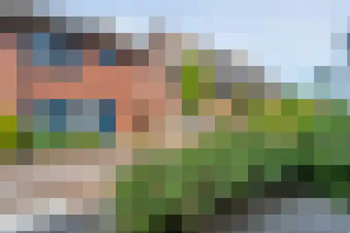 Rietgras 43 Zwolle thumbnail 36