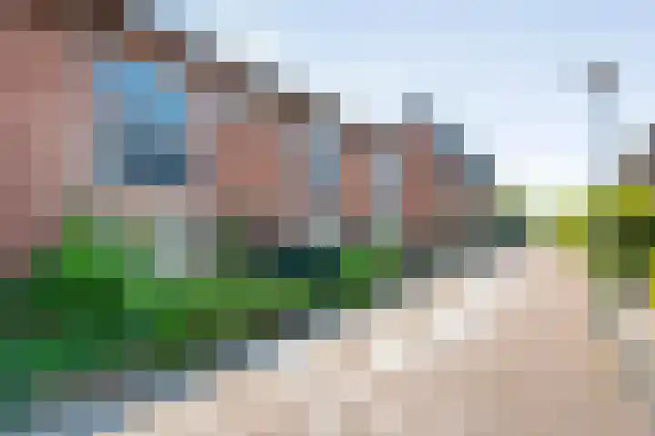 Rietgras 43 Zwolle thumbnail 37