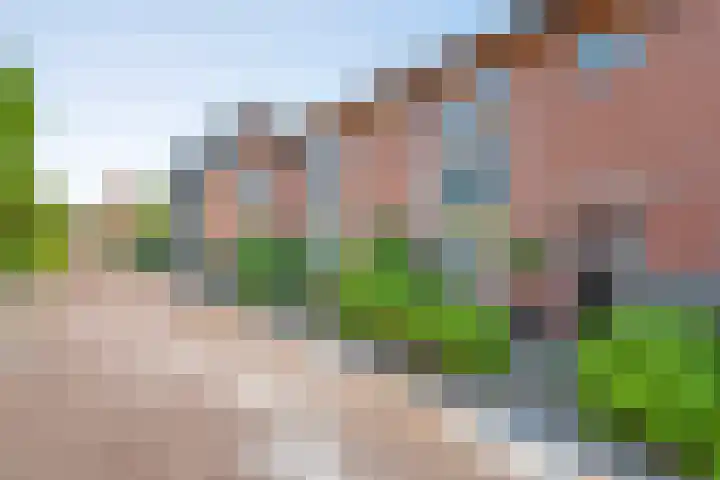 Rietgras 43 Zwolle thumbnail 38