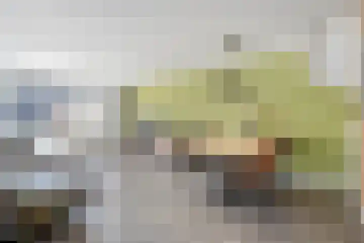 Rietgras 43 Zwolle thumbnail 5