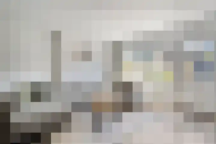 Rietgras 43 Zwolle thumbnail 6