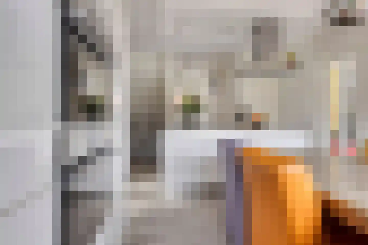 Rietgras 5 Montfoort thumbnail 12