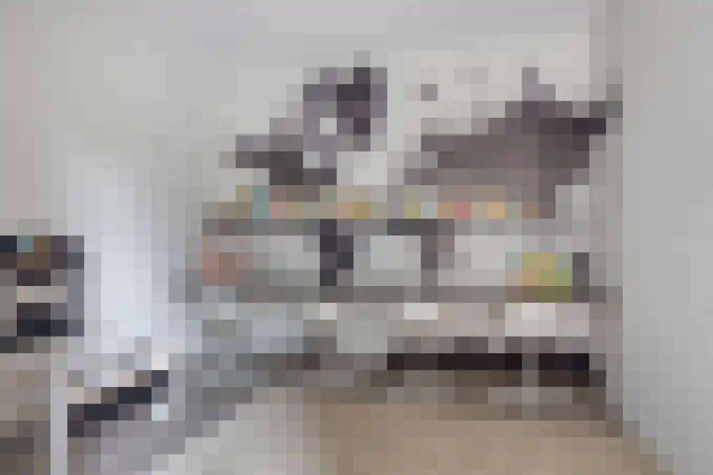 Rietgras 5 Montfoort thumbnail 20